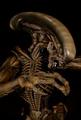 Dark Horse Alien